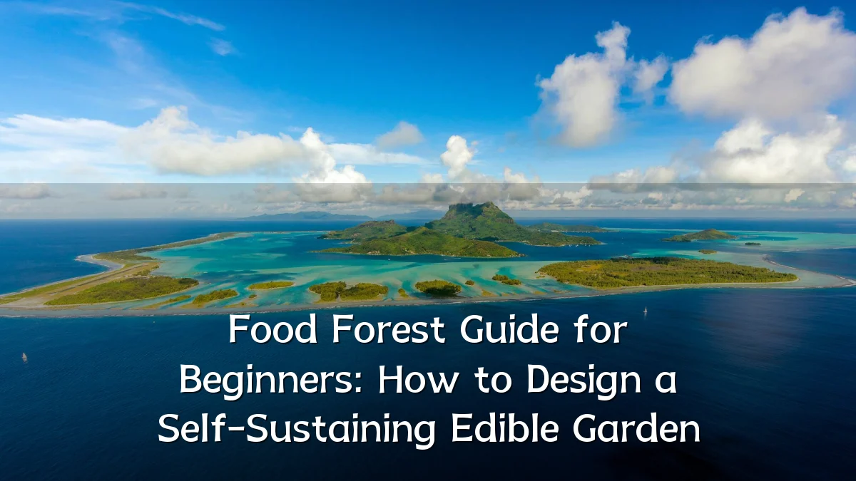 Food Forest Guide for Beginners: How to Design a Self-Sustaining Edible Garden