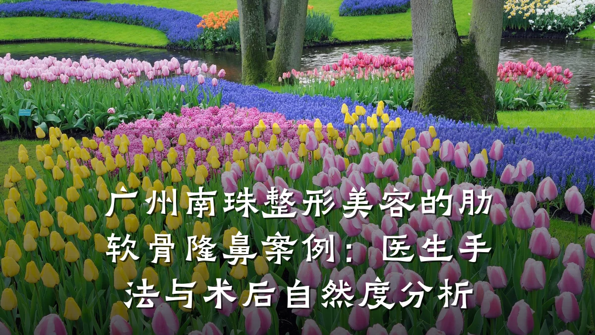 广州南珠整形美容的肋软骨隆鼻案例:医生手法与术后自然度分析