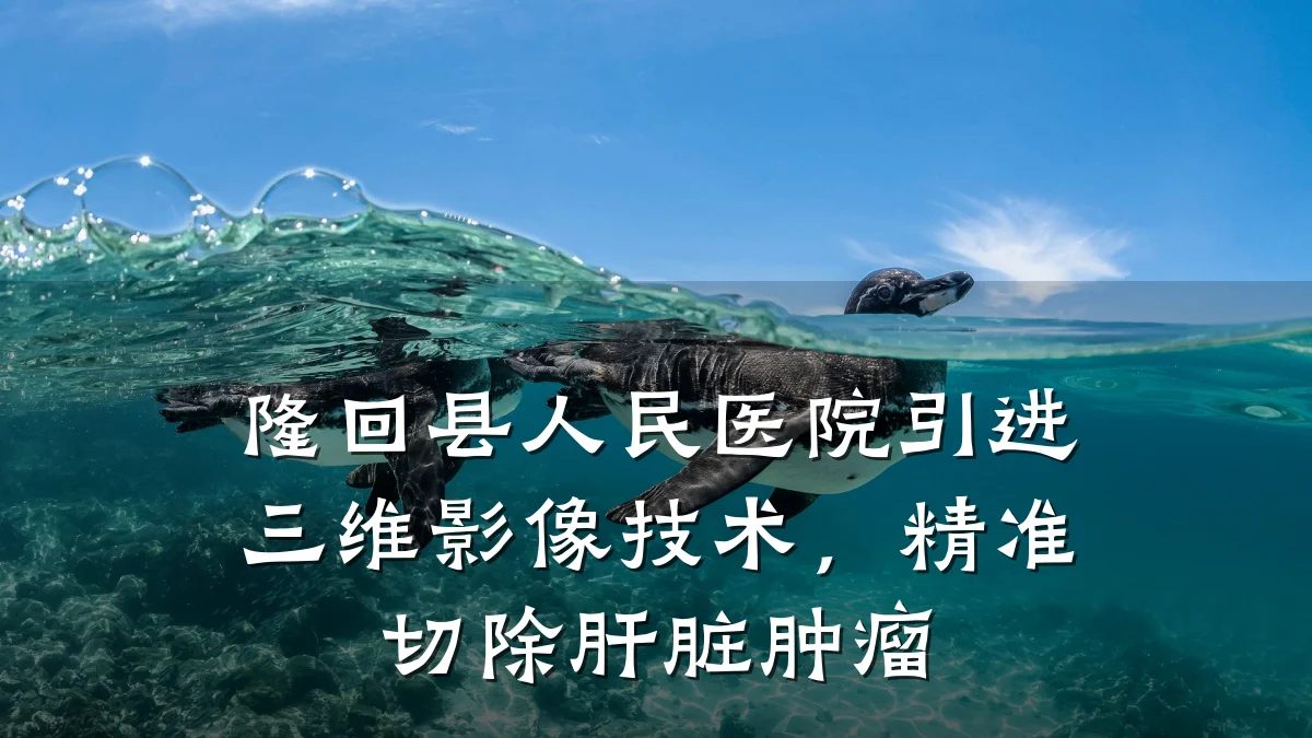 隆回县人民医院引进三维影像技术，精准切除肝脏肿瘤