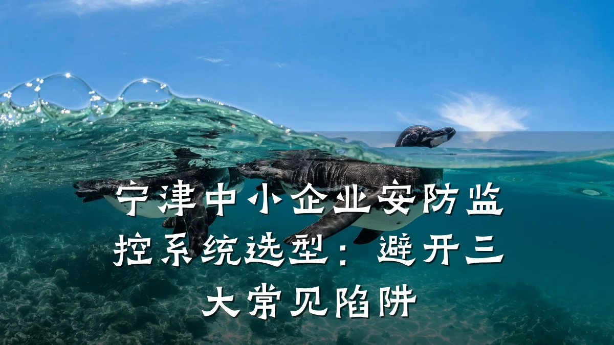宁津中小企业安防监控系统选型:避开三大常见陷阱