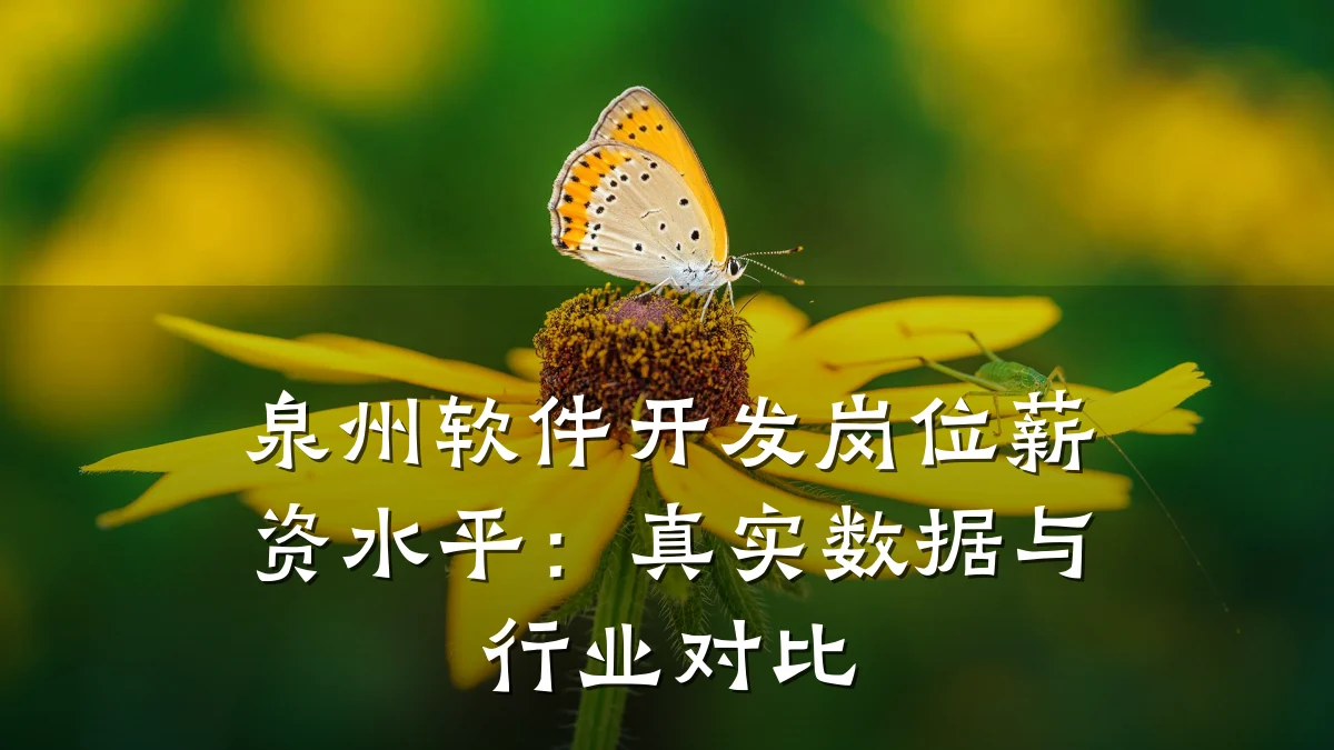 泉州软件开发岗位薪资水平:真实数据与行业对比
