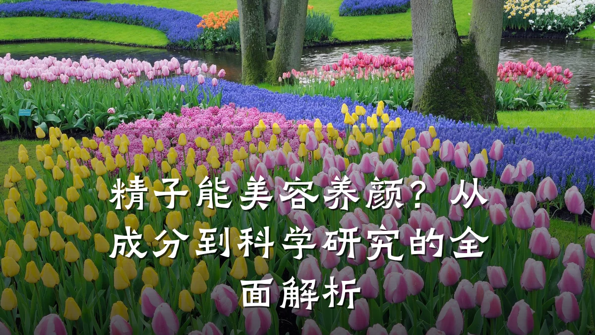 精子能美容养颜?从成分到科学研究的全面解析