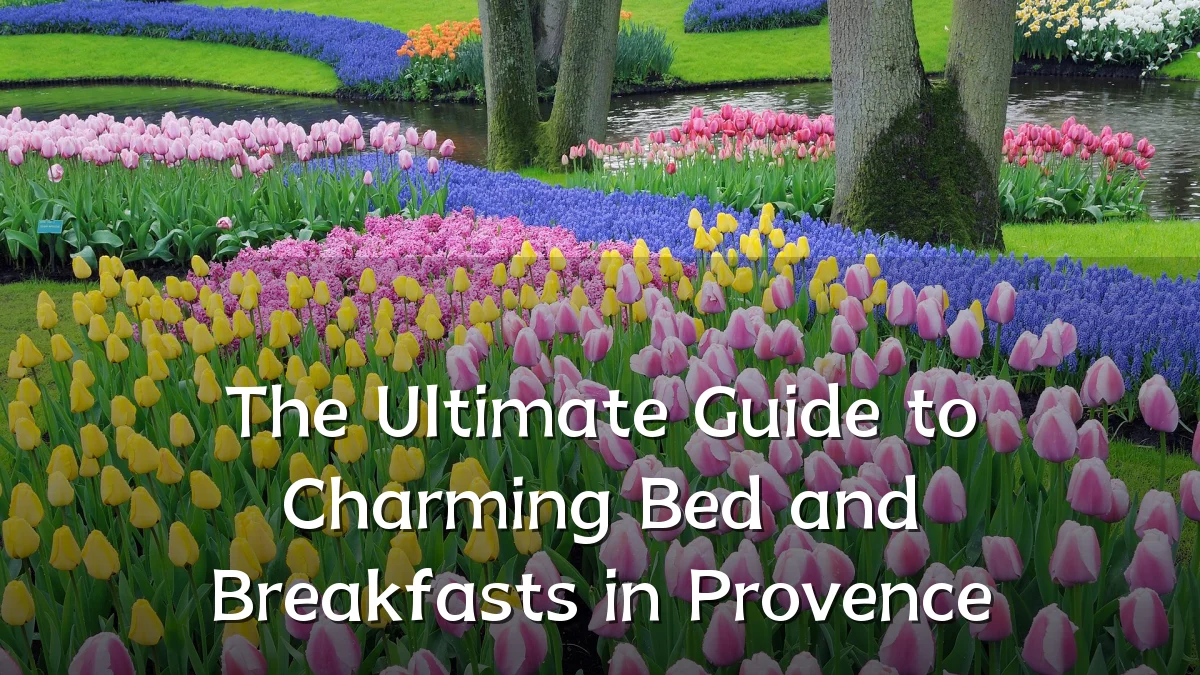 The Ultimate Guide to Charming Bed and Breakfasts in Provence