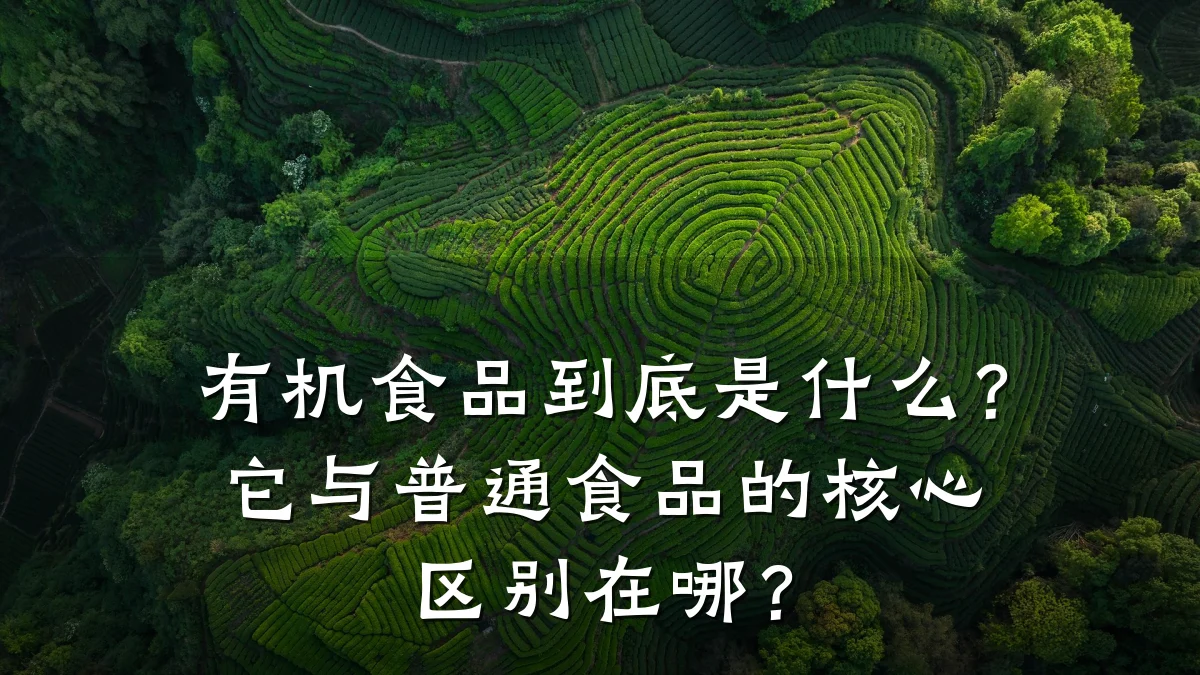 有机食品到底是什么？它与普通食品的核心区别在哪？