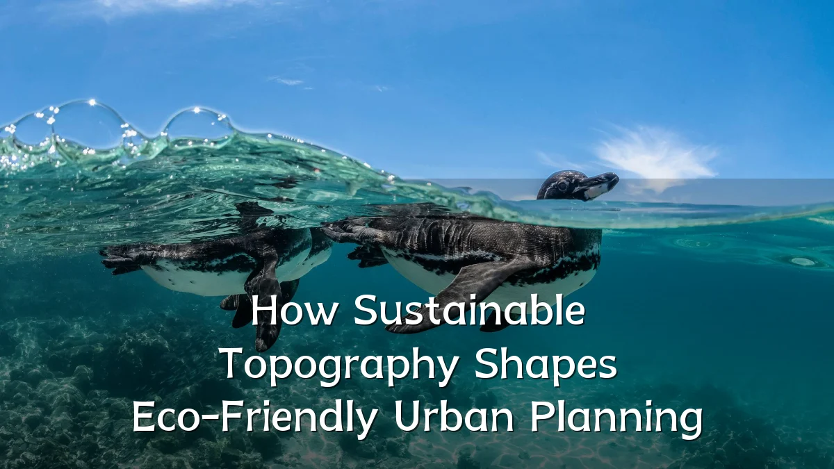 How Sustainable Topography Shapes Eco-Friendly Urban Planning