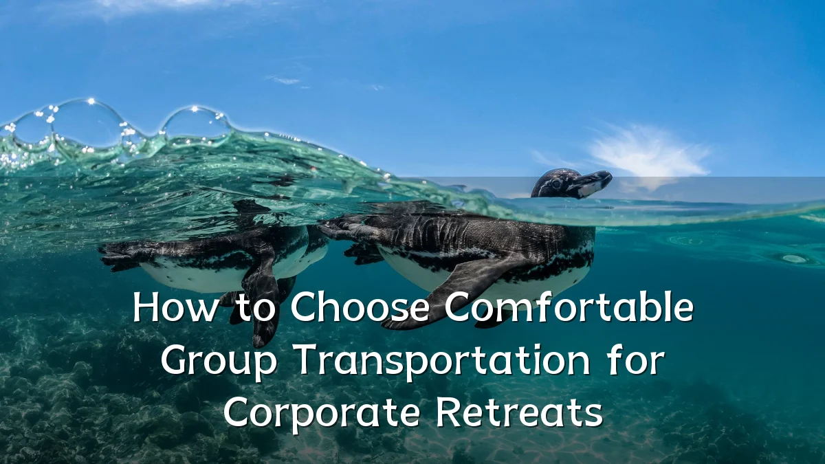 How to Choose Comfortable Group Transportation for Corporate Retreats