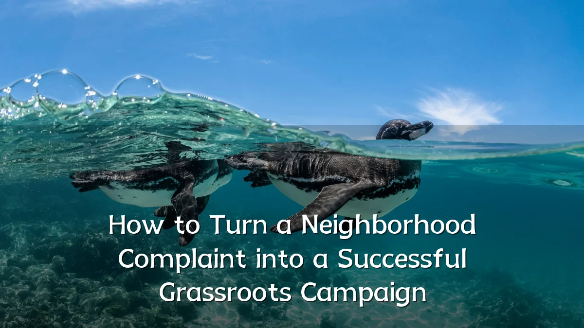 How to Turn a Neighborhood Complaint into a Successful Grassroots Campaign