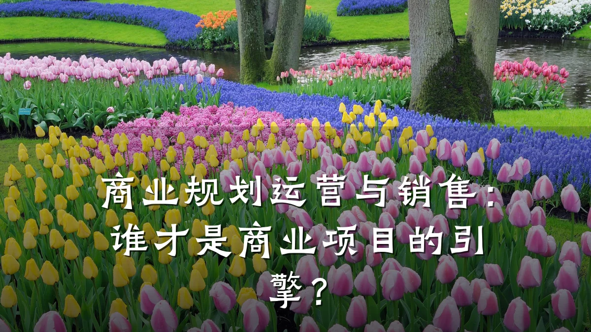 商业规划运营与销售:谁才是商业项目的引擎?