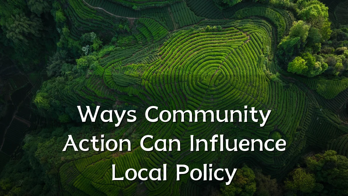 Ways Community Action Can Influence Local Policy