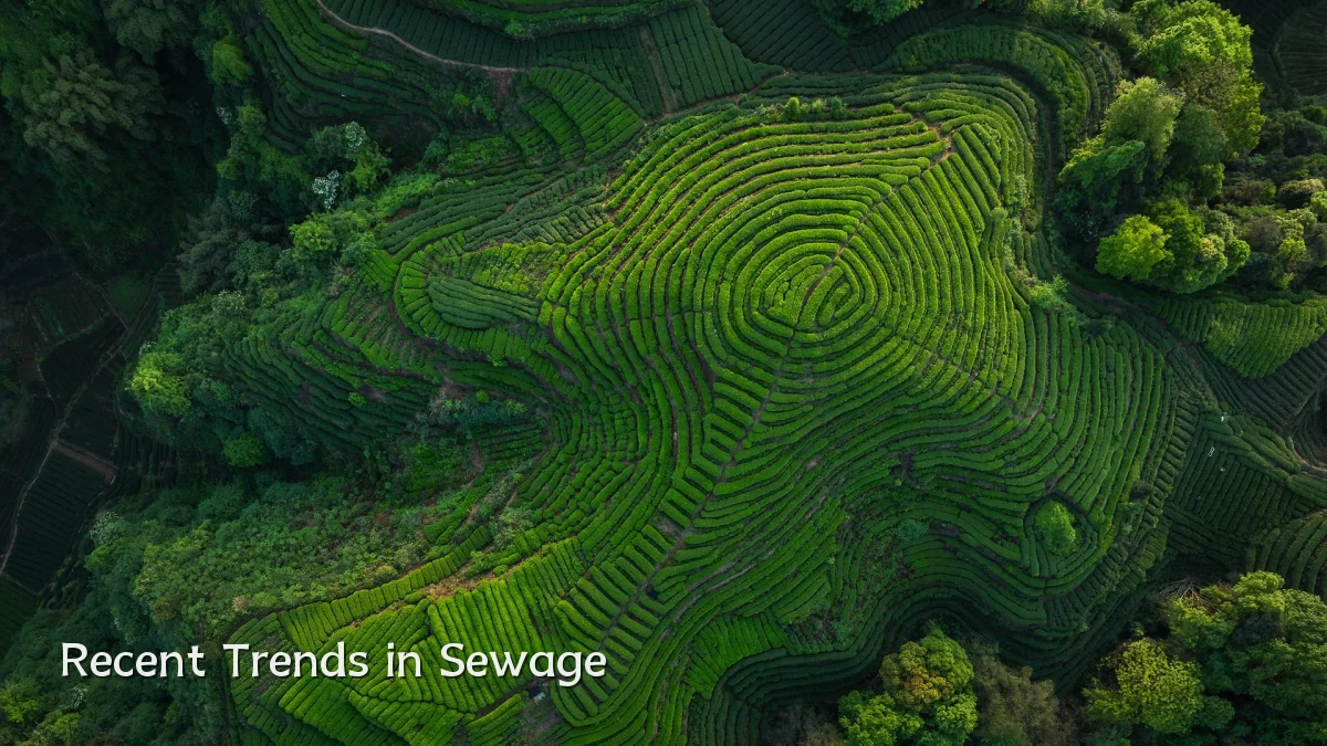 Recent Trends in Sewage