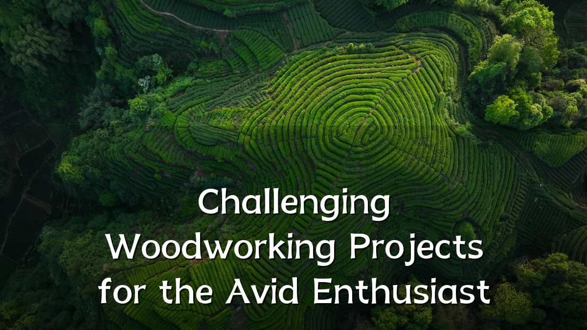 Challenging Woodworking Projects for the Avid Enthusiast