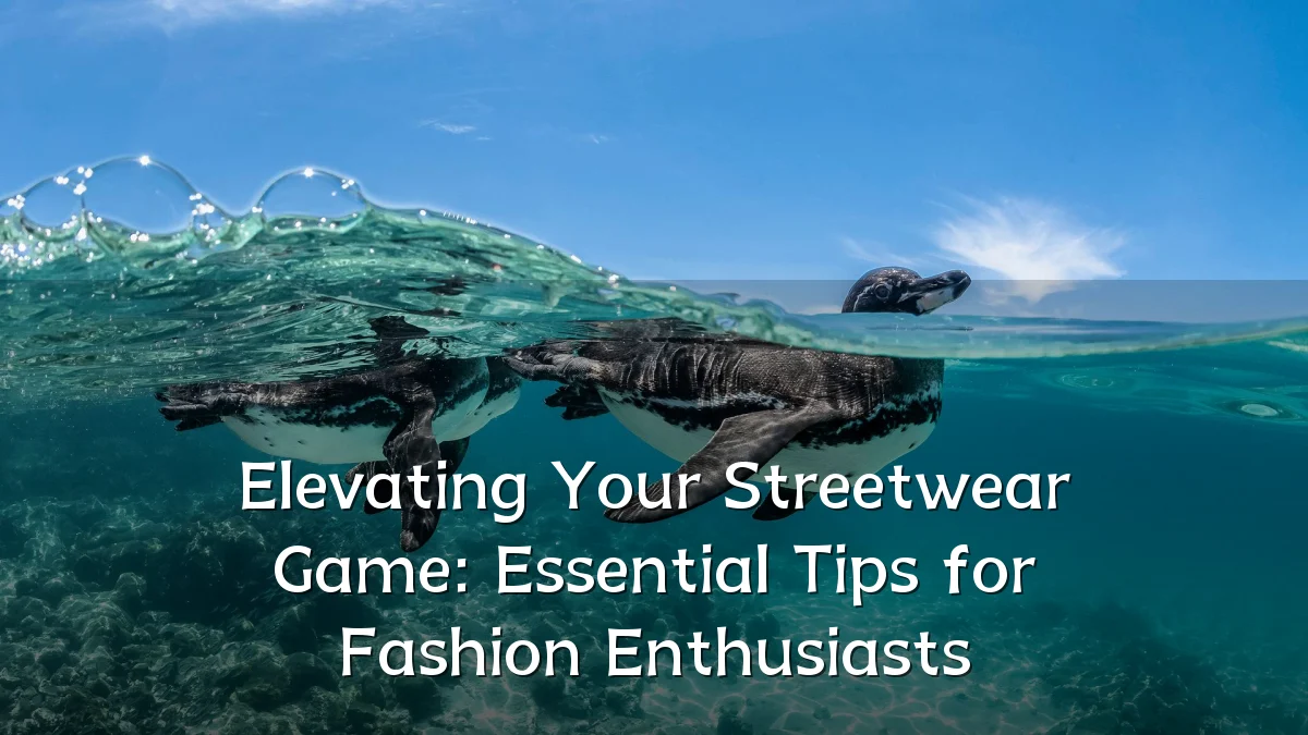 Elevating Your Streetwear Game: Essential Tips for Fashion Enthusiasts