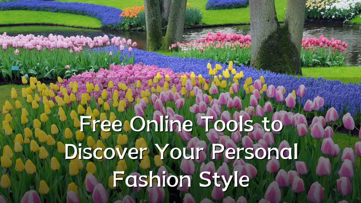 Free Online Tools to Discover Your Personal Fashion Style
