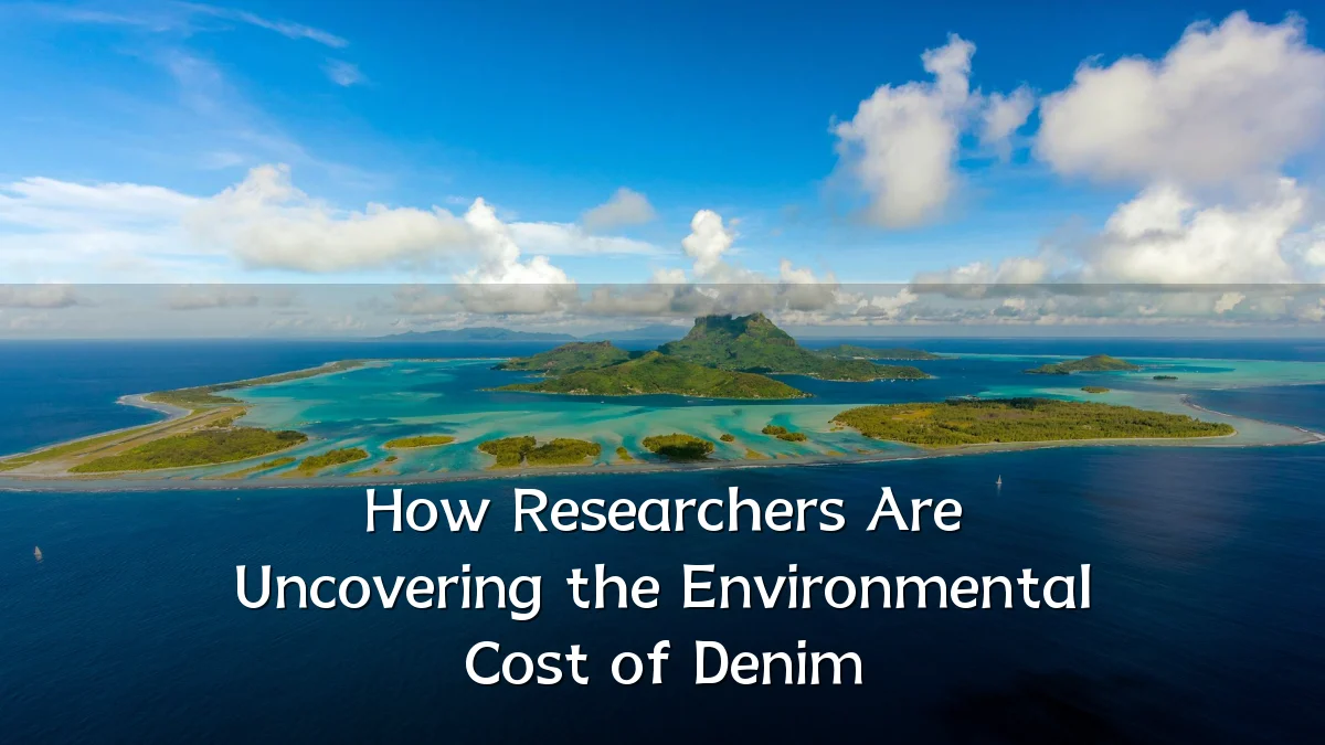 How Researchers Are Uncovering the Environmental Cost of Denim