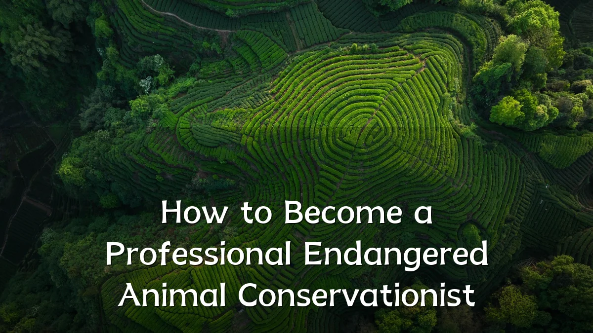 How to Become a Professional Endangered Animal Conservationist