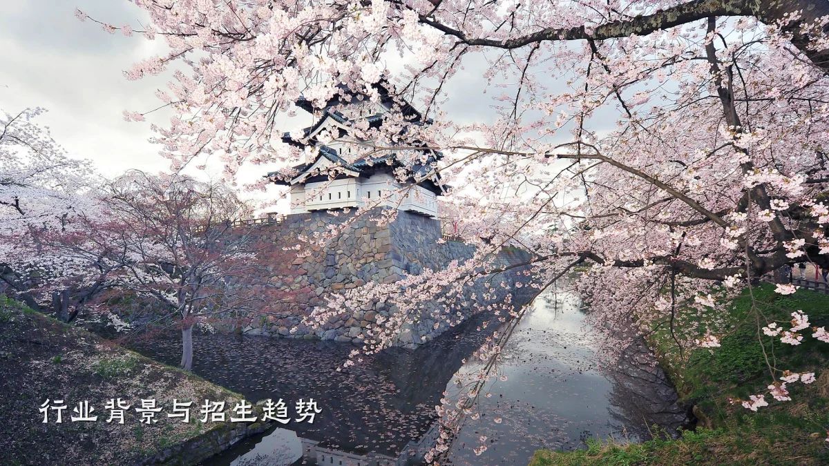 行业背景与招生趋势