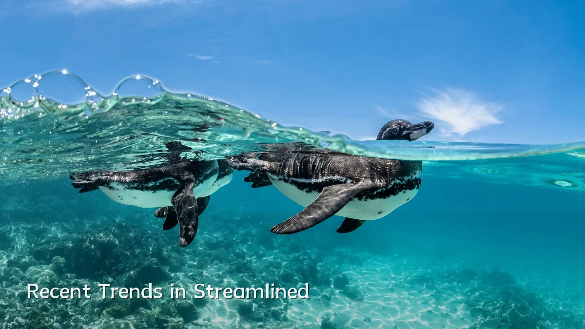 Recent Trends in Streamlined