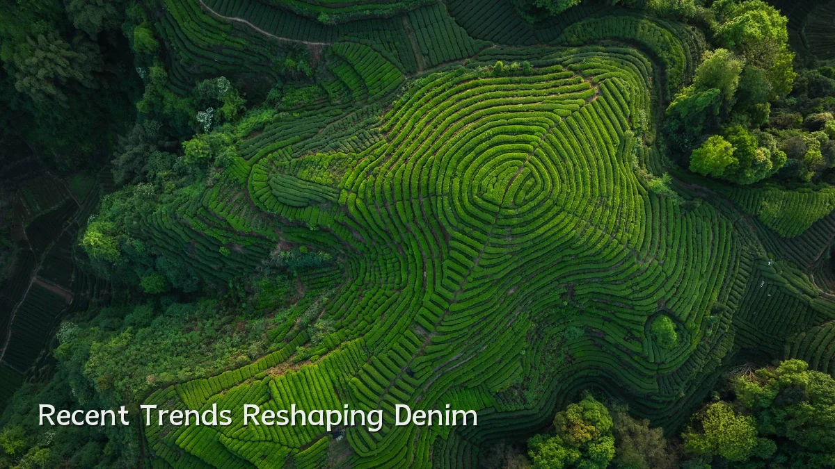 Recent Trends Reshaping Denim
