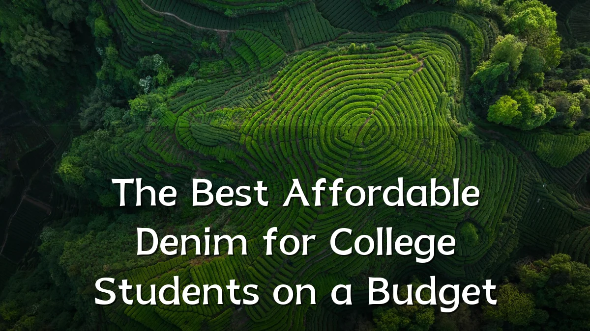 The Best Affordable Denim for College Students on a Budget
