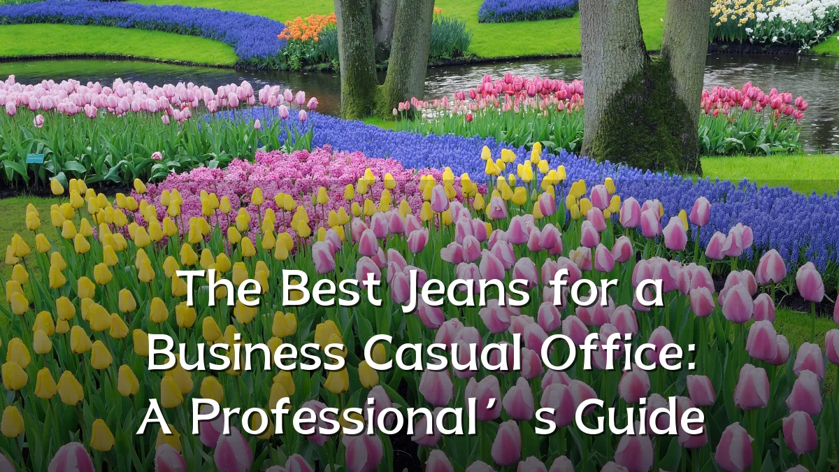 The Best Jeans for a Business Casual Office: A Professional’s Guide