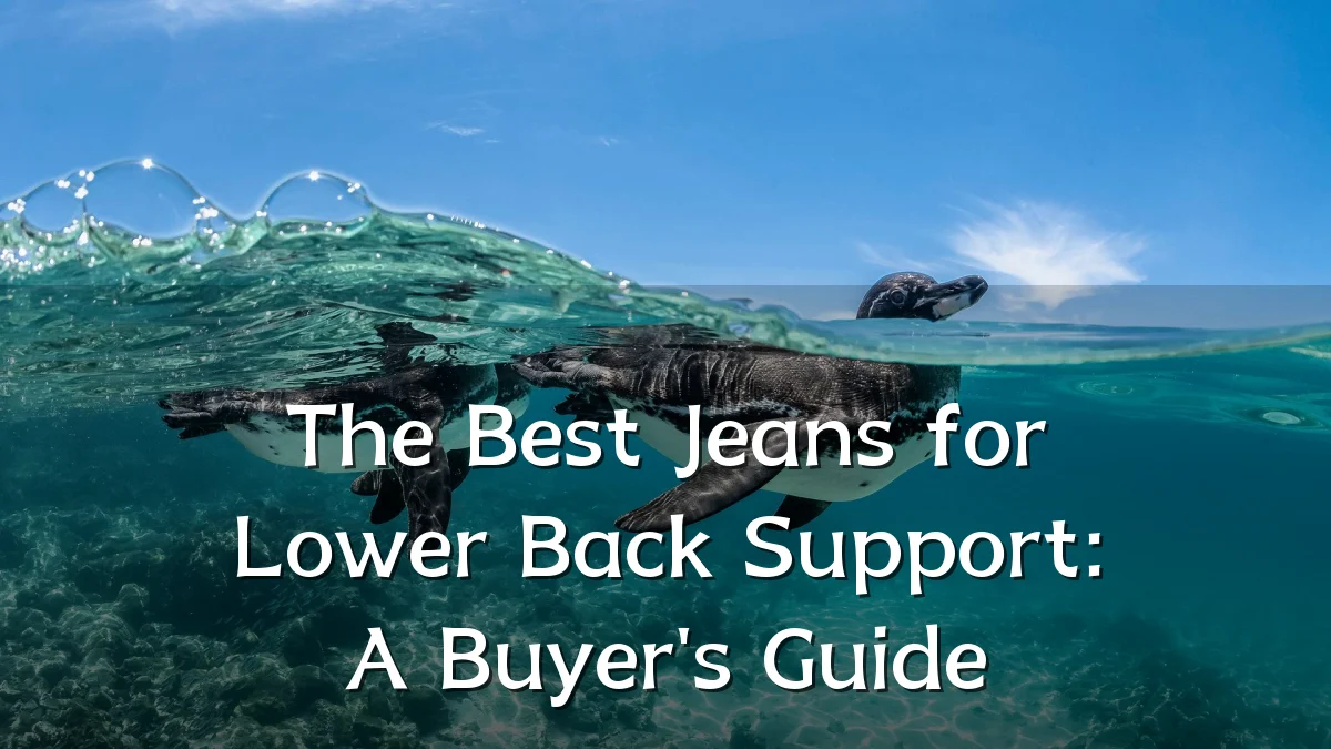 The Best Jeans for Lower Back Support: A Buyer's Guide