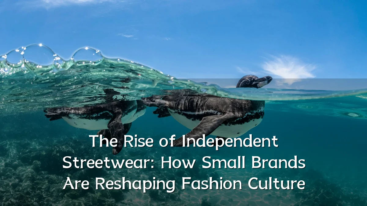 The Rise of Independent Streetwear: How Small Brands Are Reshaping Fashion Culture