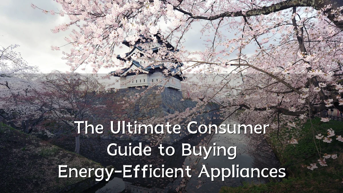The Ultimate Consumer Guide to Buying Energy-Efficient Appliances