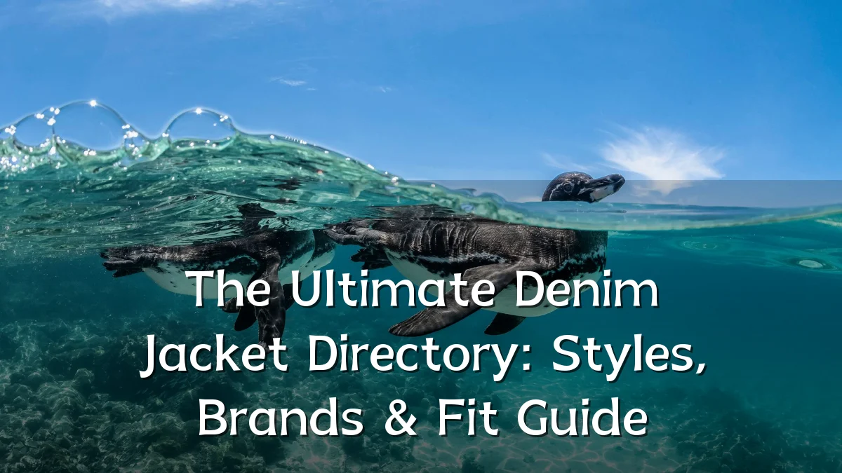 The Ultimate Denim Jacket Directory: Styles, Brands & Fit Guide