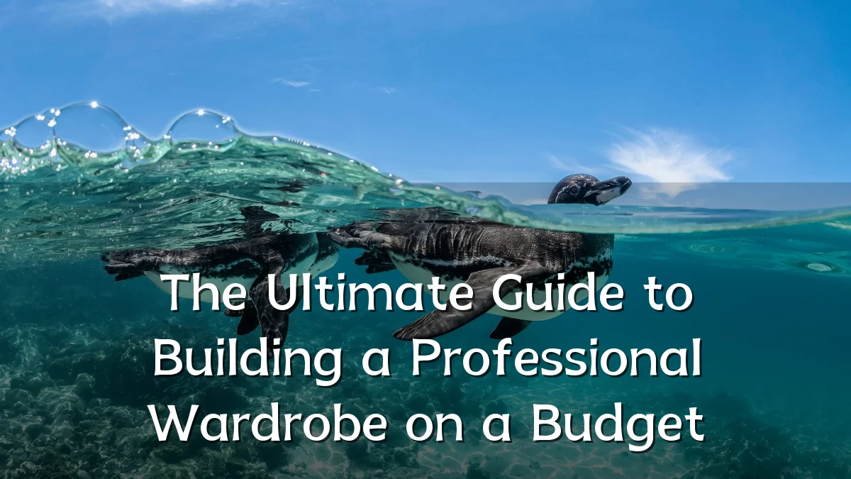 The Ultimate Guide to Building a Professional Wardrobe on a Budget