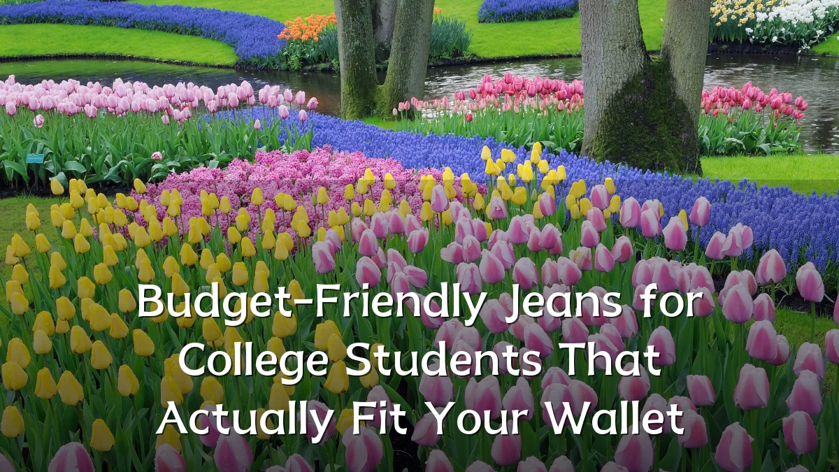 Budget-Friendly Jeans for College Students That Actually Fit Your Wallet