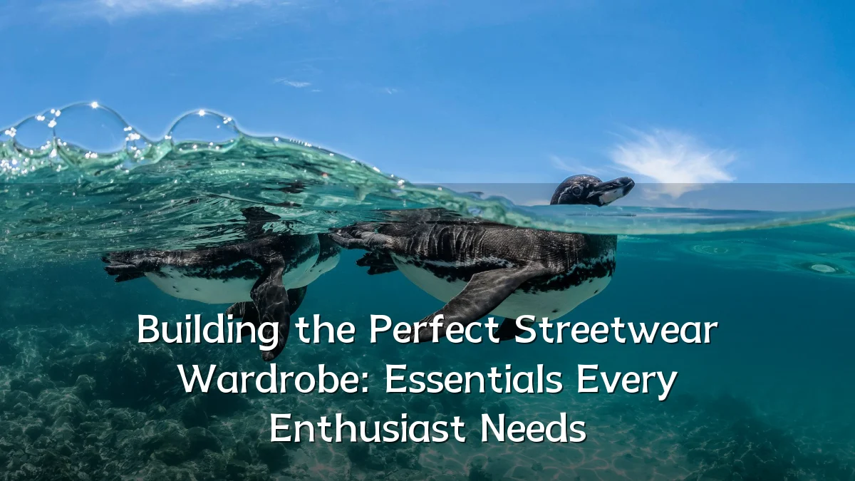 Building the Perfect Streetwear Wardrobe: Essentials Every Enthusiast Needs