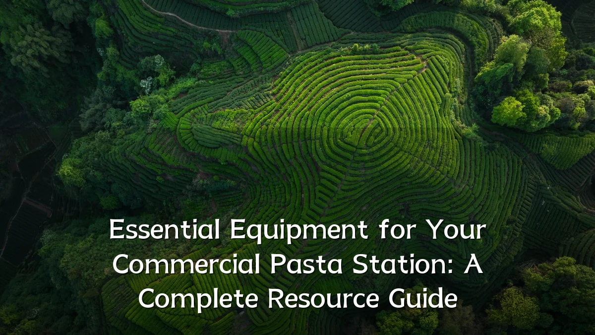Essential Equipment for Your Commercial Pasta Station: A Complete Resource Guide