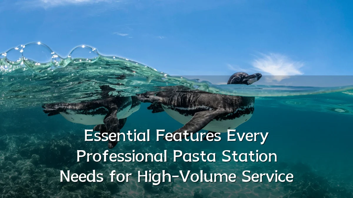 Essential Features Every Professional Pasta Station Needs for High-Volume Service