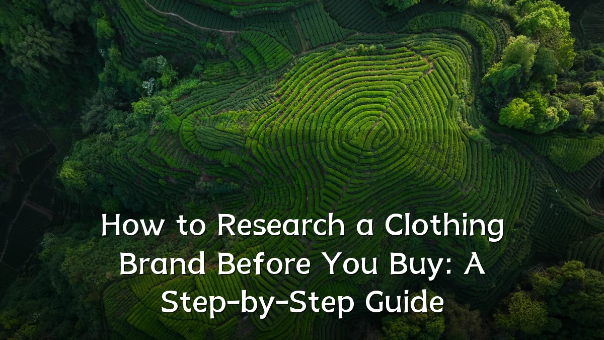 How to Research a Clothing Brand Before You Buy: A Step-by-Step Guide