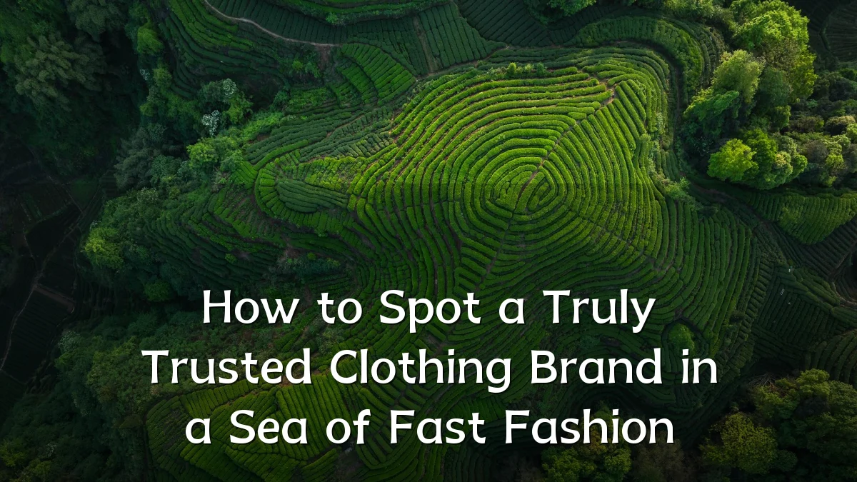 How to Spot a Truly Trusted Clothing Brand in a Sea of Fast Fashion
