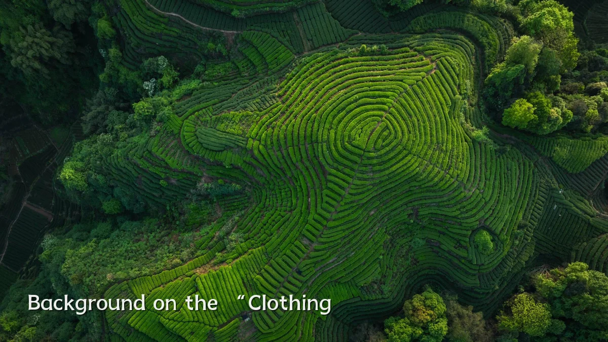 Background on the “Clothing
