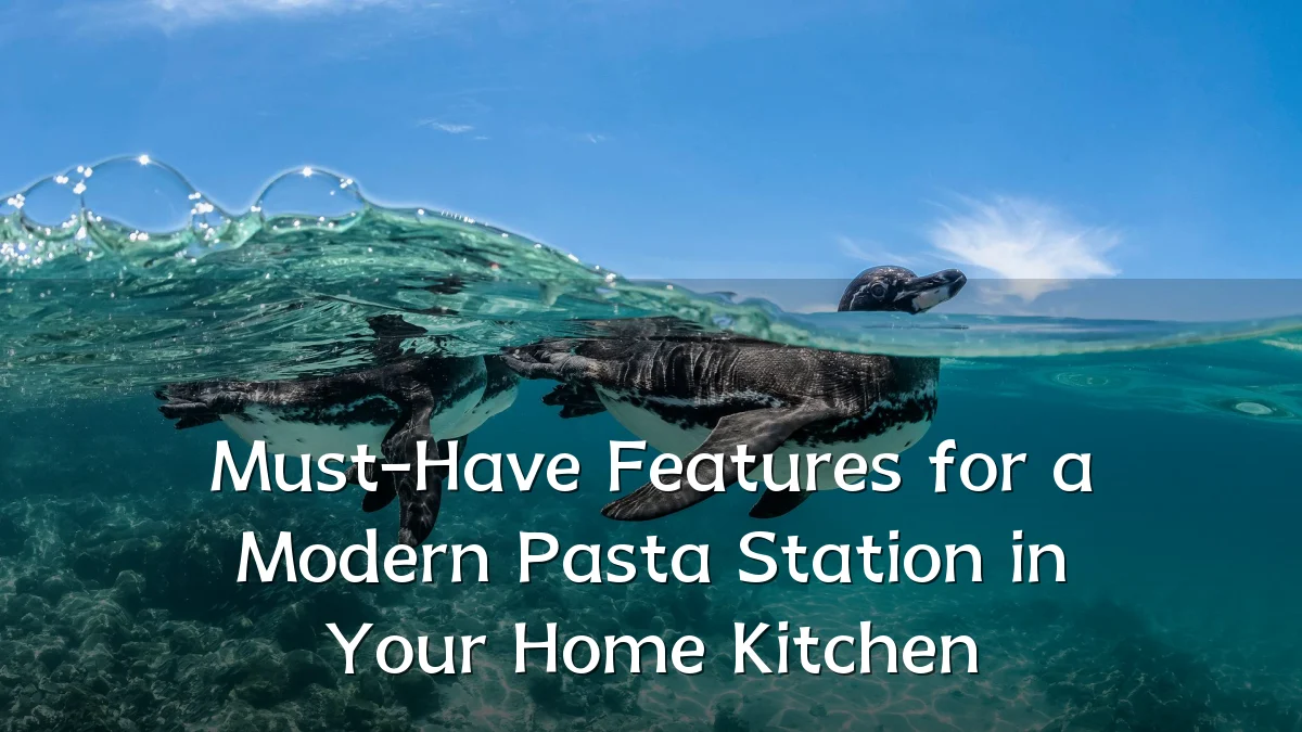 Must-Have Features for a Modern Pasta Station in Your Home Kitchen