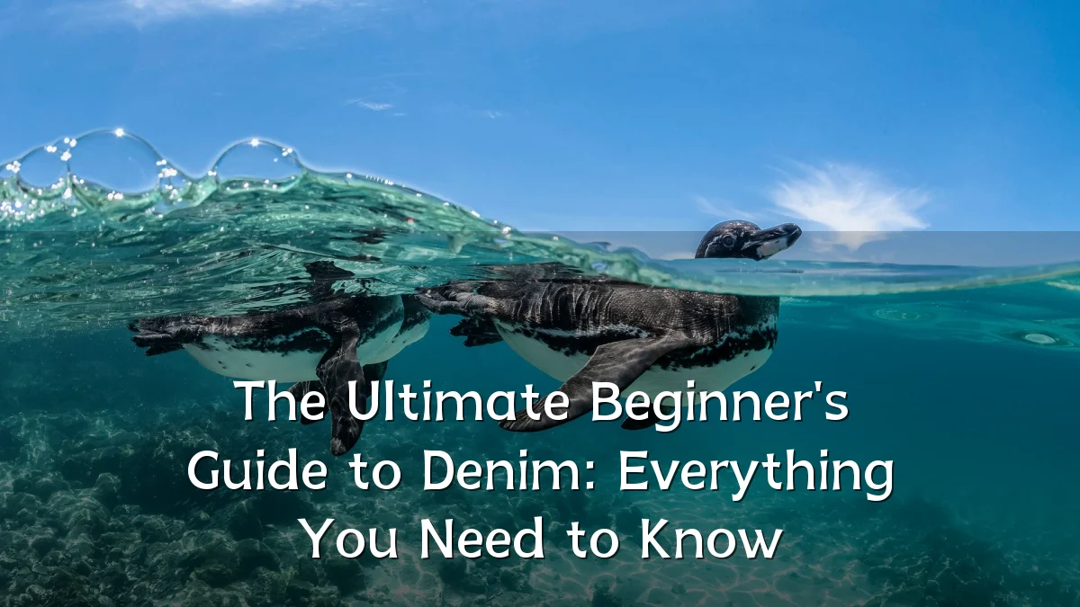 The Ultimate Beginner's Guide to Denim: Everything You Need to Know