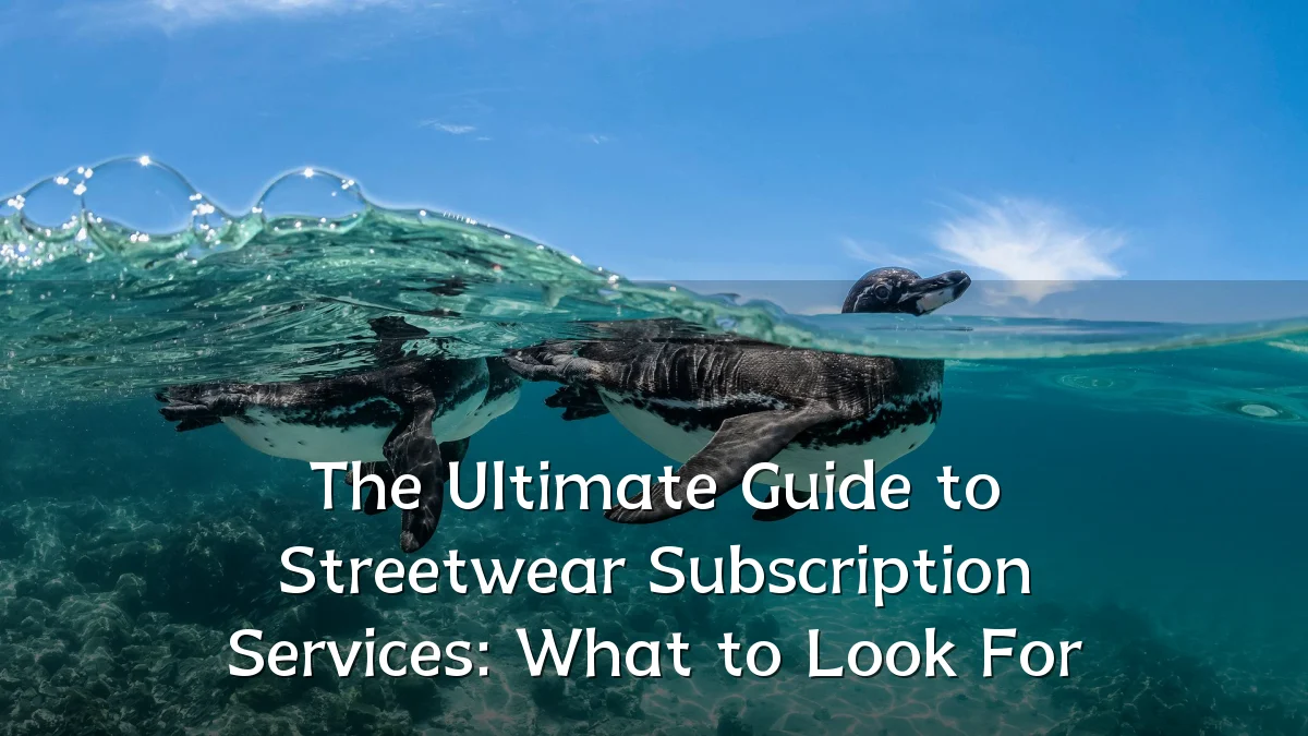 The Ultimate Guide to Streetwear Subscription Services: What to Look For
