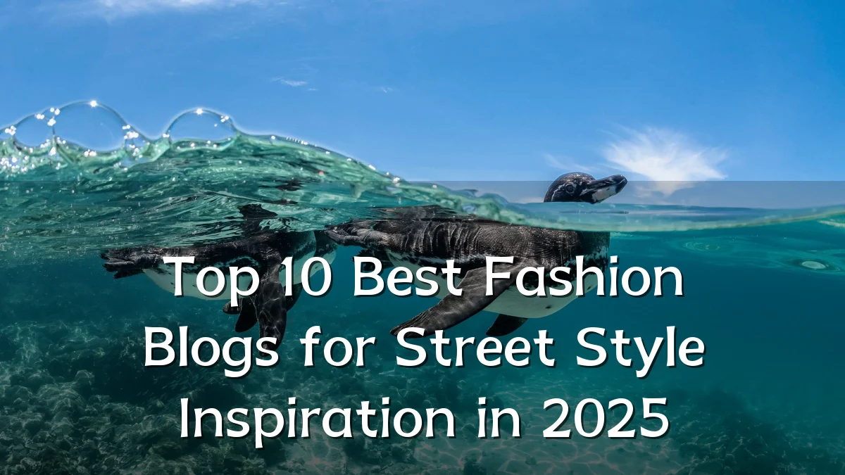 Top 10 Best Fashion Blogs for Street Style Inspiration in 2025