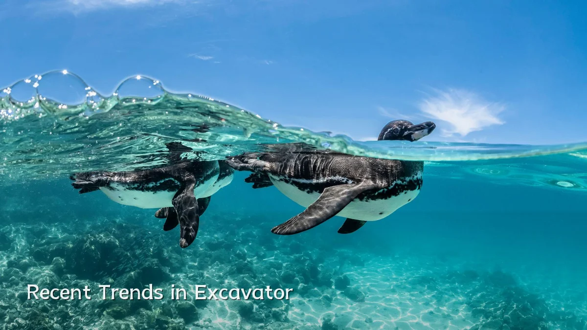 Recent Trends in Excavator