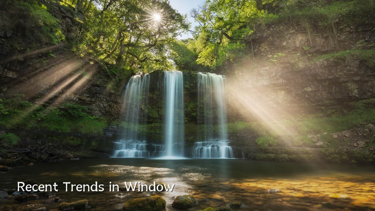 Recent Trends in Window