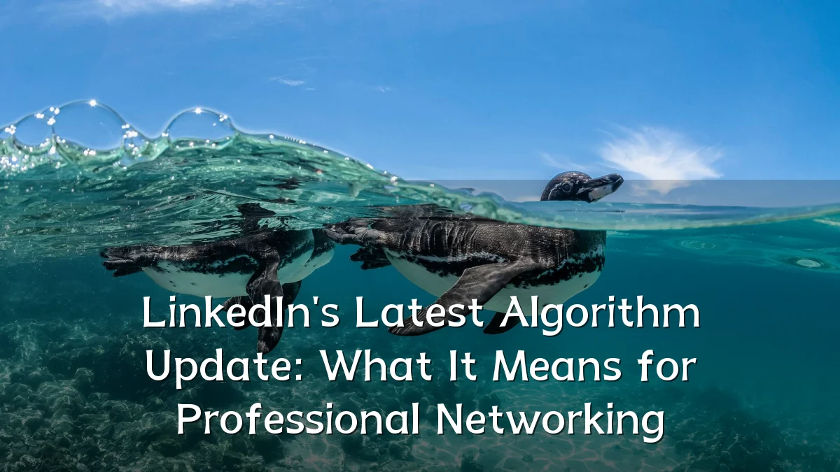LinkedIn's Latest Algorithm Update: What It Means for Professional Networking