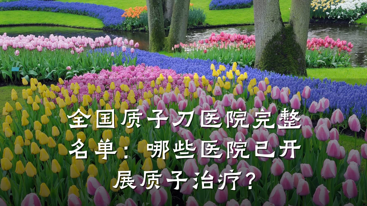 全国质子刀医院完整名单:哪些医院已开展质子治疗?