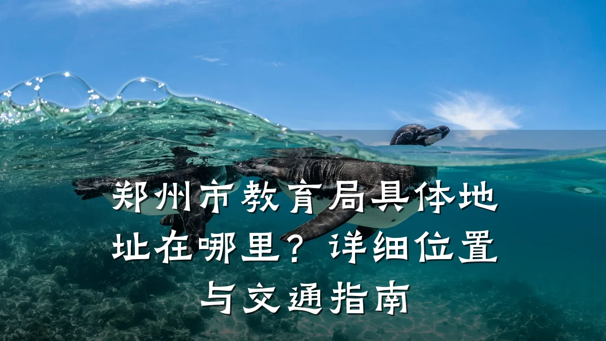 郑州市教育局具体地址在哪里?详细位置与交通指南