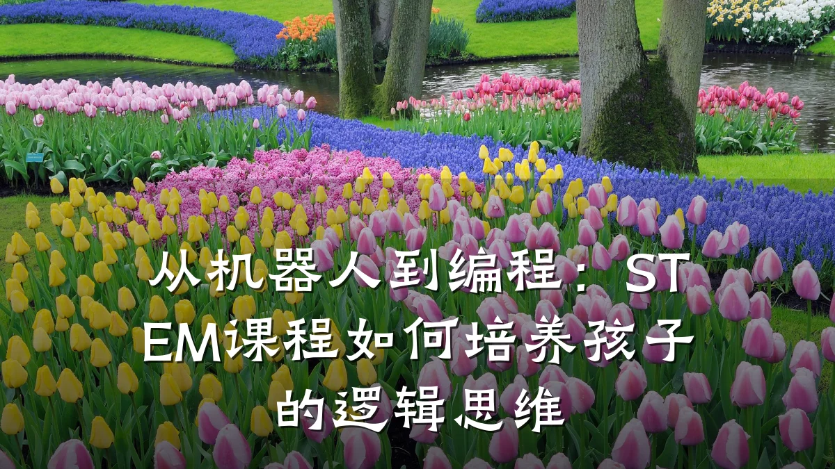 从机器人到编程:STEM课程如何培养孩子的逻辑思维