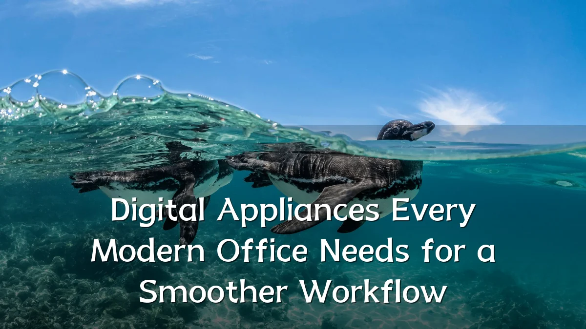 Digital Appliances Every Modern Office Needs for a Smoother Workflow