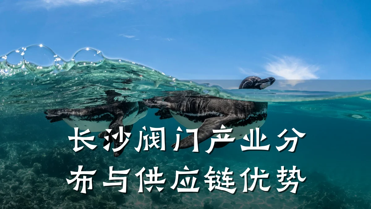 长沙阀门产业分布与供应链优势