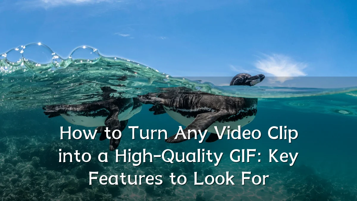 How to Turn Any Video Clip into a High-Quality GIF: Key Features to Look For