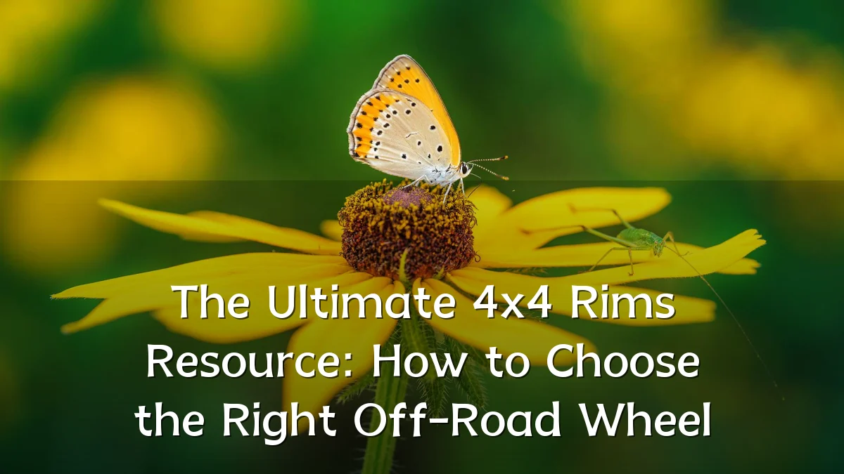 The Ultimate 4x4 Rims Resource: How to Choose the Right Off-Road Wheel